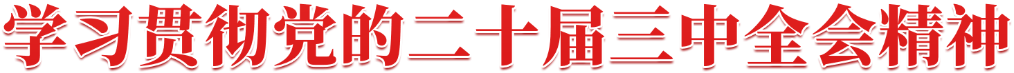 標(biāo)題 學(xué)習(xí)貫徹黨的二十屆三中全會精神